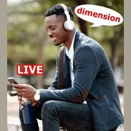 Dimension Brasilien Netzwerk
