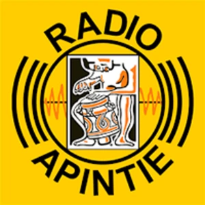 Apintie Suriname 97.1 FM - Powered by Bombelman.com