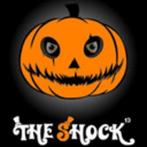 เดอะช็อค The Shock 101