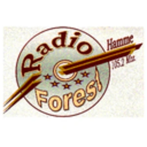 Forest 2.0 Hamme