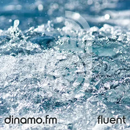 Dinamo Fluent