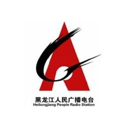 黑龙江新闻广播 FM94.6 (Heilongjiang News)