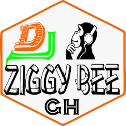 Dj Ziggy Bee Pro