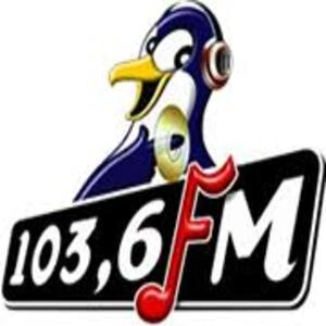 Pinguin FM