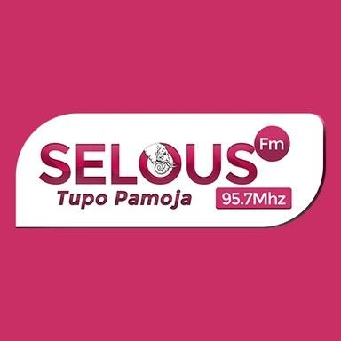 Selous FM Radio